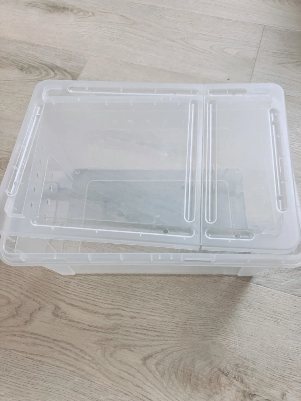 Retile/Exotic Starter Kit: Reptile Feeding Box, Coco Husk, Forrest Moss